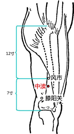 中主穴|中渎